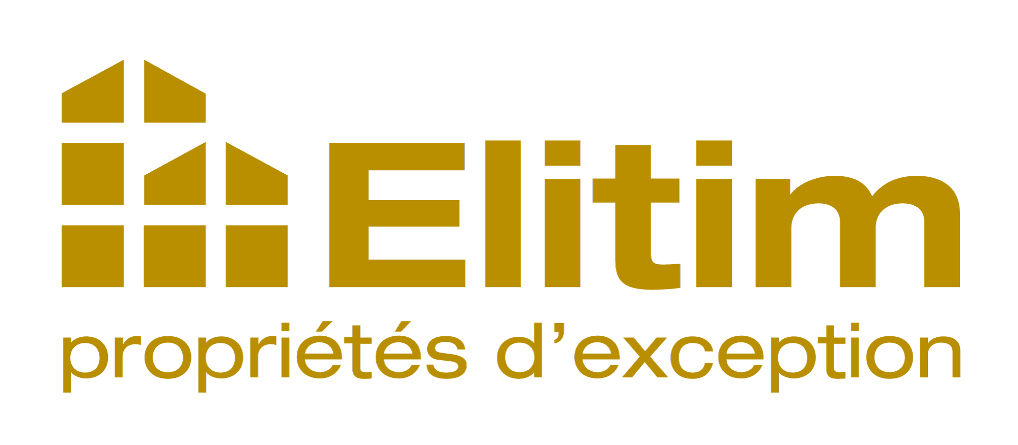 Elitim Logo New Or 2024